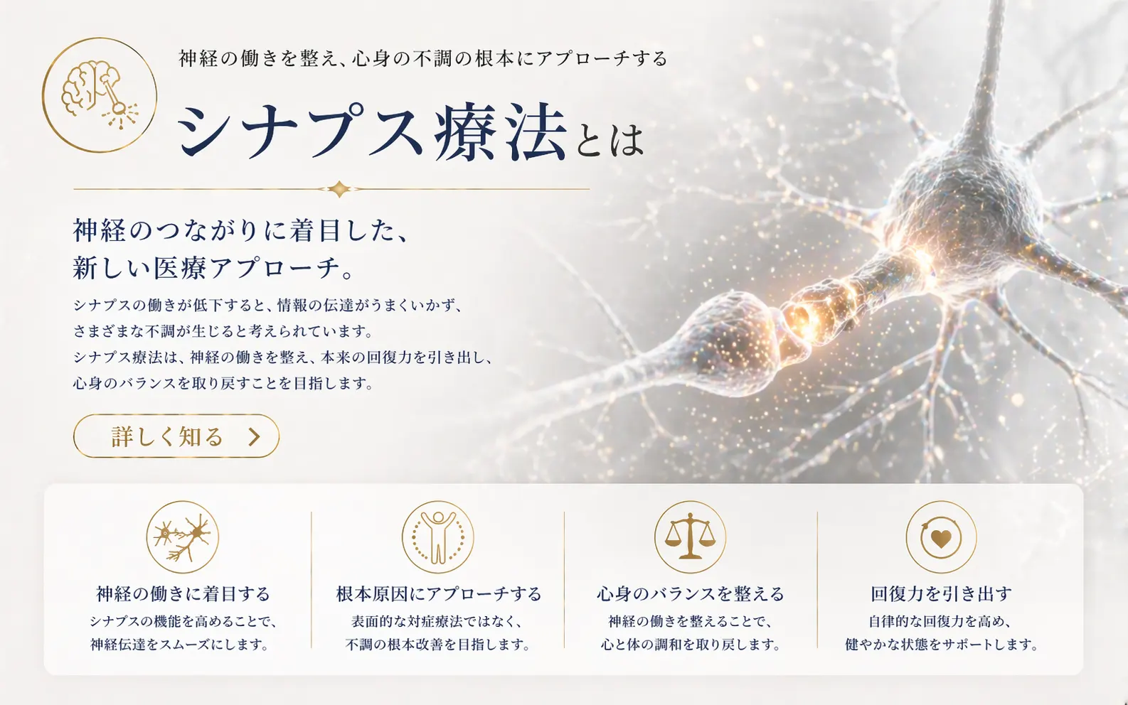 シナプス療法とは
